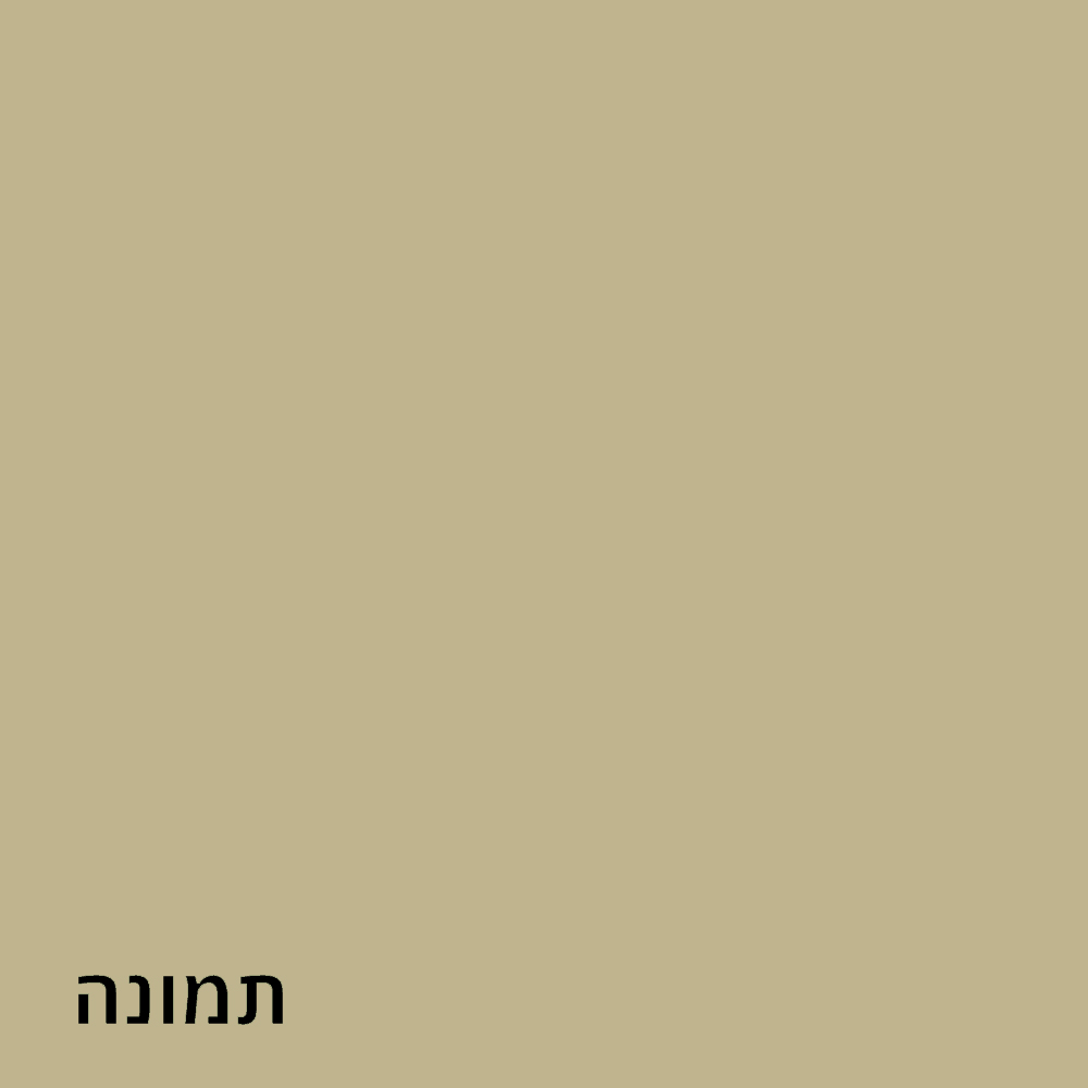 תמונה 1