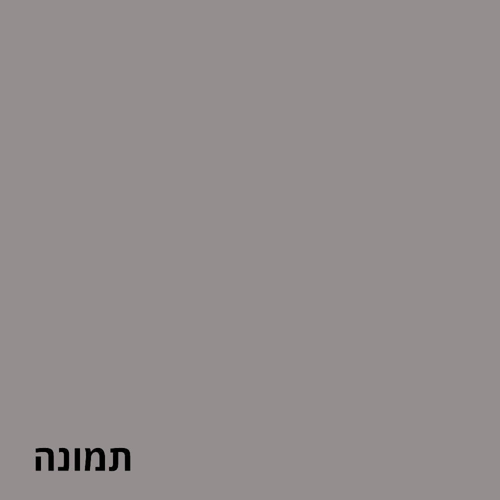 תמונה