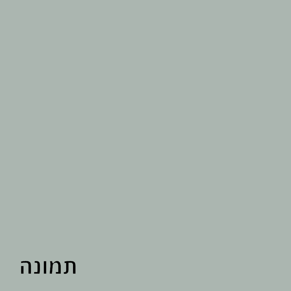 תמונה 1